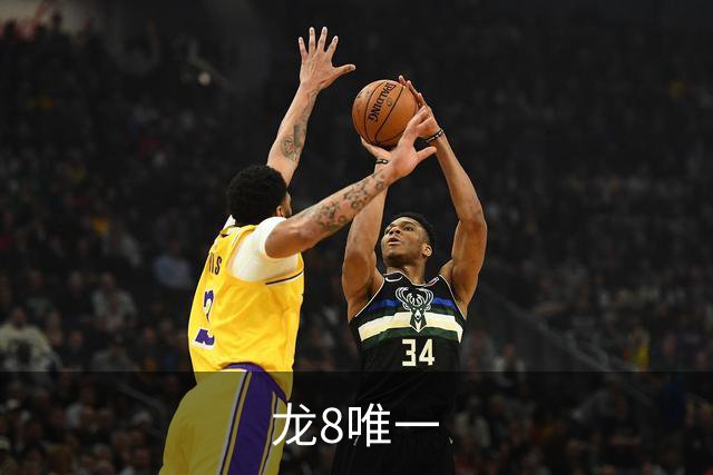 龙8唯一公司介绍图